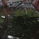 The nasty effects of oil spills in the Niger Delta area.
